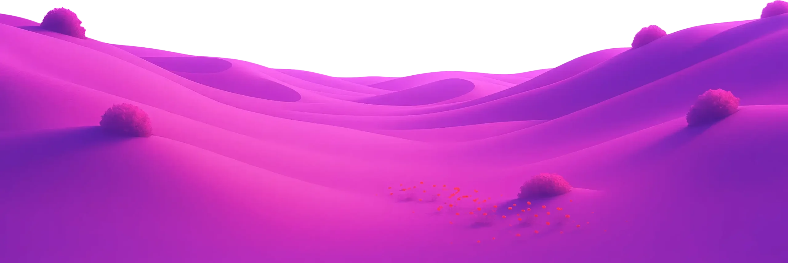 Experience Seamless Style and Speed